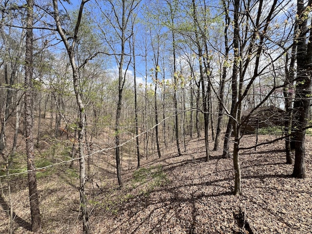 view of landscape featuring a wooded view