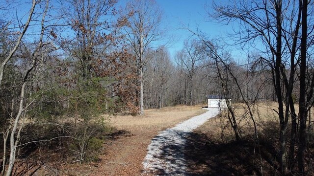 0 Lone Wolf Trl, Spencer, TN 38585
