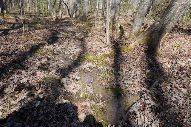 0 Lone Wolf Trl, Spencer, TN 38585