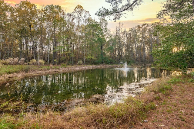 view of water feature