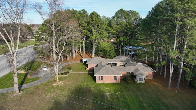 bird's eye view
