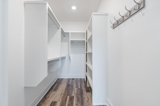 22 Flip Flop Ct, Winchester, TN 37398 - spacious closet with dark wood finished floors