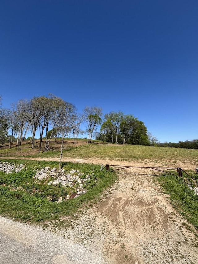 view of road featuring a gated entry, driveway, and a rural view