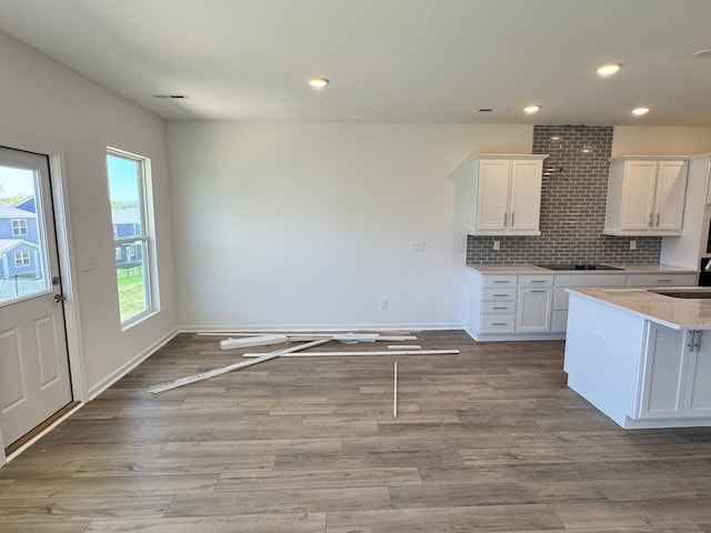 kitchen with wood finished floors, a sink, and white cabinets