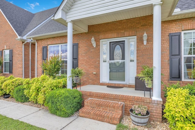 doorway to property with roof with shingles, covered porch, and brick siding