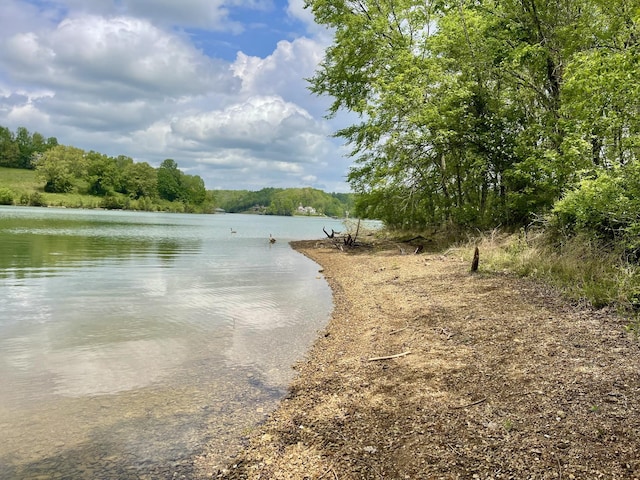 water view with a forest view