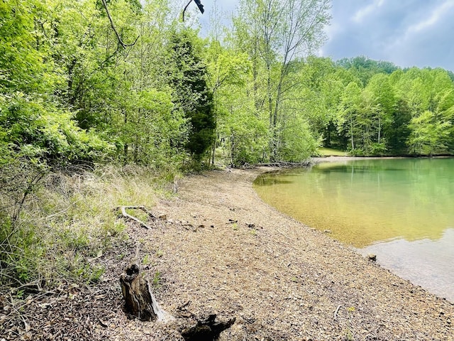 property view of water with a view of trees