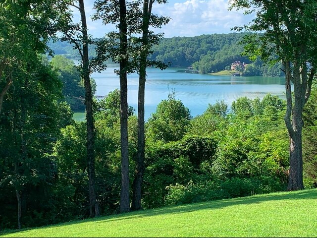 1157 Majors Cemetery Rd, Lynchburg, TN 37352 - photo 2