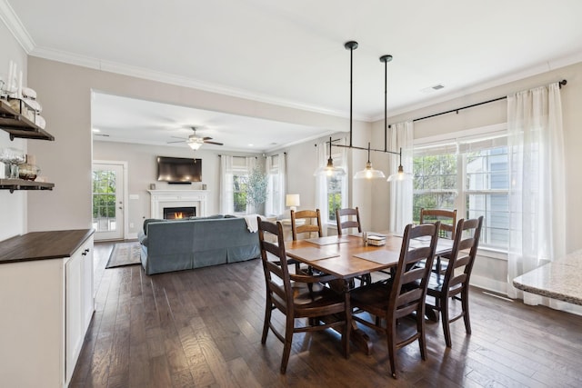 7025 Headwaters Dr, Franklin, TN 37064 - dining space with a healthy amount of sunlight, dark wood-style flooring, and visible vents