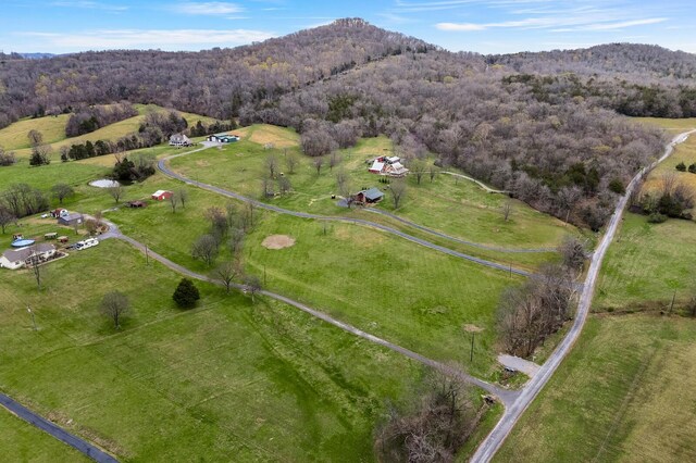 272 Ward Hollow Rd, Watertown, TN 37184 - photo 36