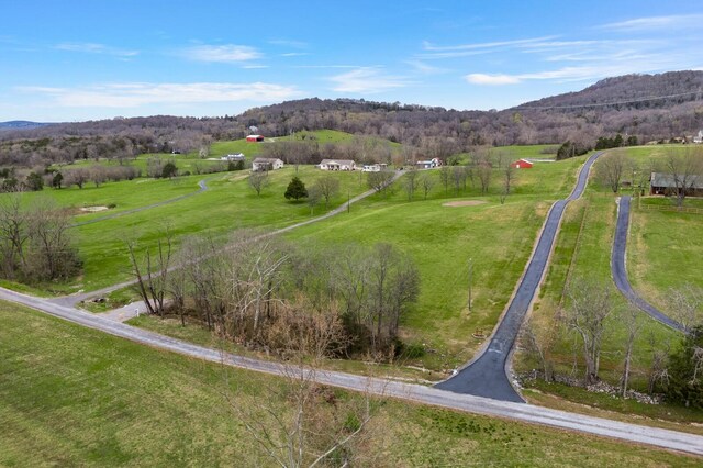 272 Ward Hollow Rd, Watertown, TN 37184 - photo 31