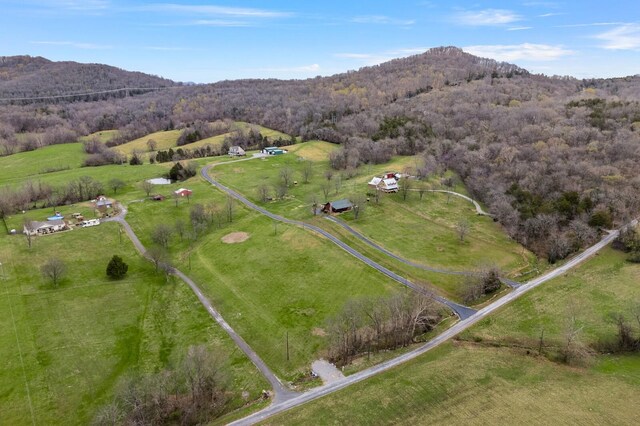 272 Ward Hollow Rd, Watertown, TN 37184 - photo 37