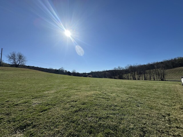 272 Ward Hollow Rd, Watertown, TN 37184 - photo 3