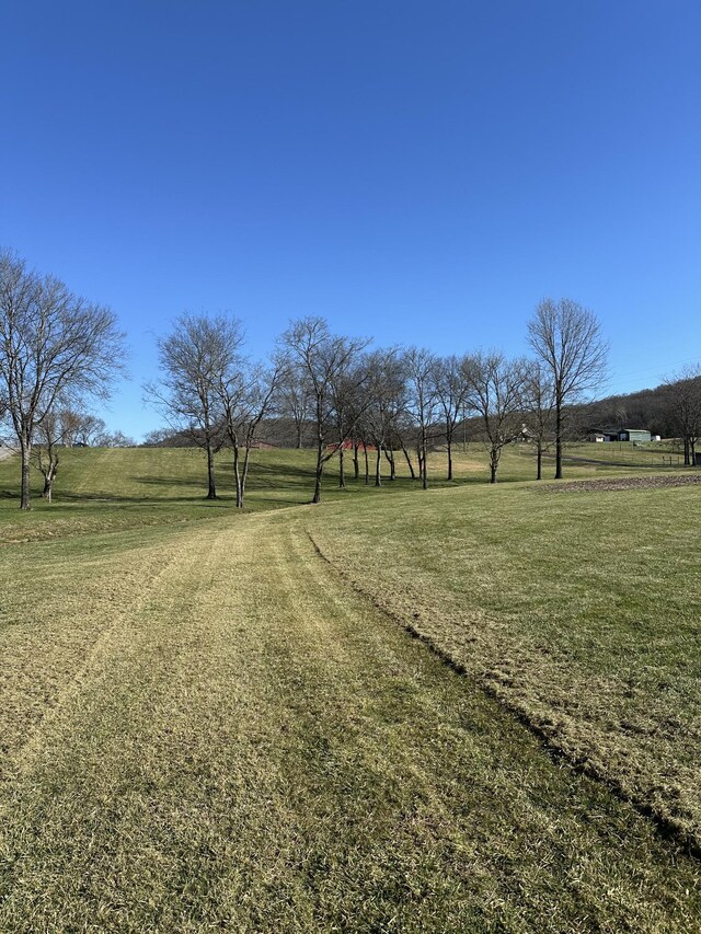 272 Ward Hollow Rd, Watertown, TN 37184 - photo 5