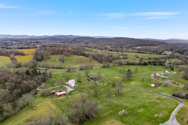 272 Ward Hollow Rd, Watertown, TN 37184 - photo 44