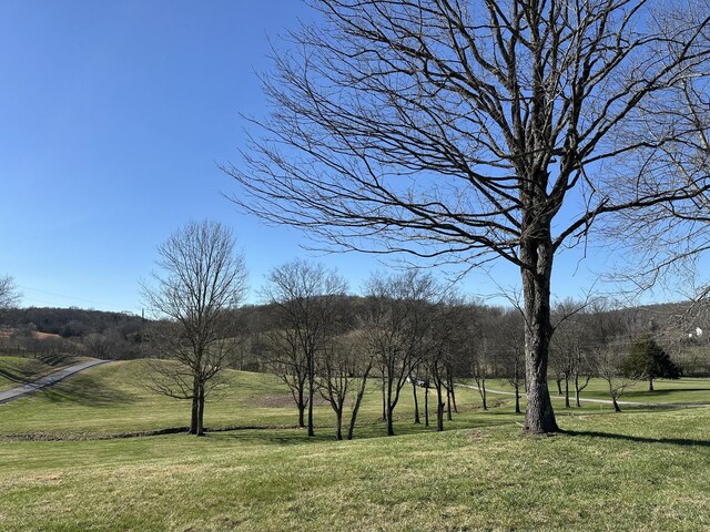 272 Ward Hollow Rd, Watertown, TN 37184 - photo 18