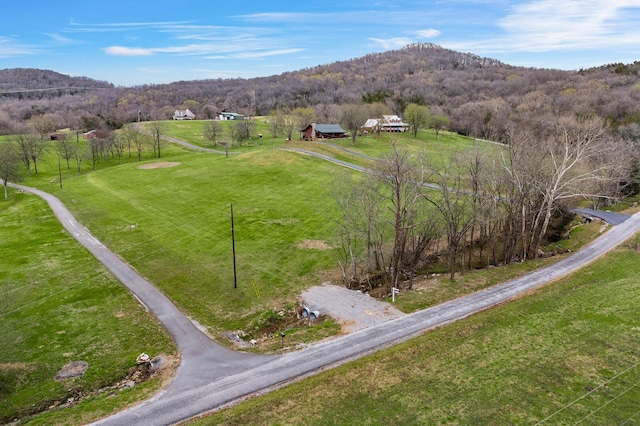 272 Ward Hollow Rd, Watertown, TN 37184 - photo 2