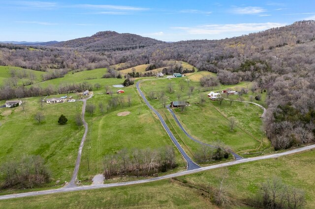 272 Ward Hollow Rd, Watertown, TN 37184 - photo 38
