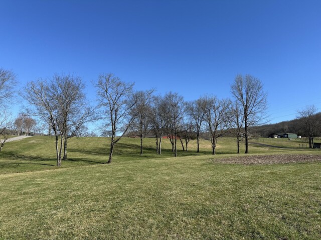 272 Ward Hollow Rd, Watertown, TN 37184 - photo 21