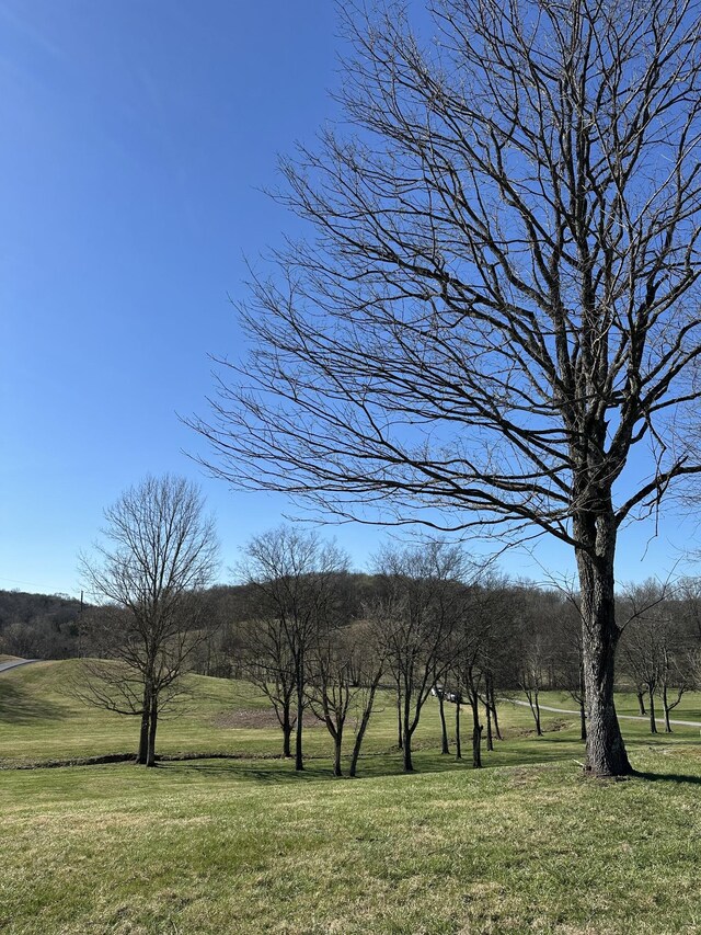 272 Ward Hollow Rd, Watertown, TN 37184 - photo 17