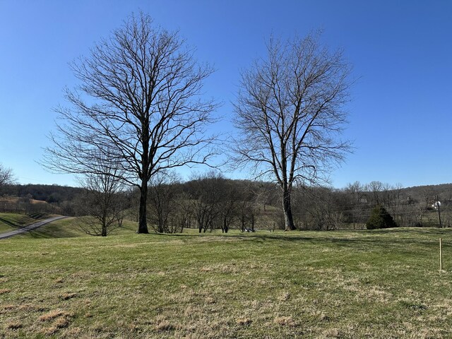 272 Ward Hollow Rd, Watertown, TN 37184 - photo 4