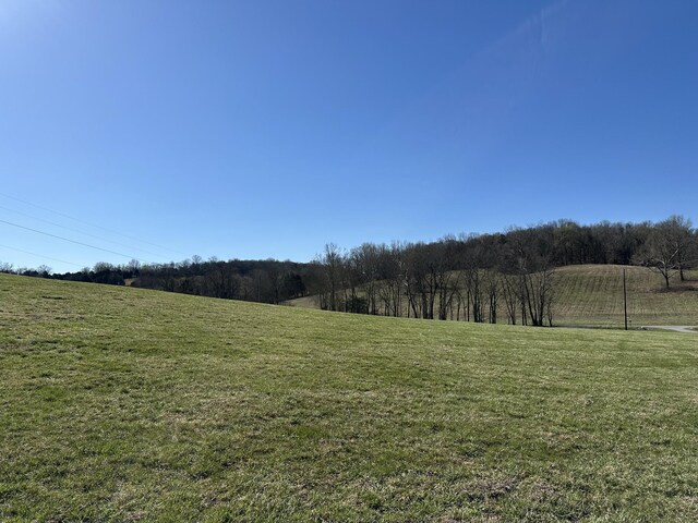 272 Ward Hollow Rd, Watertown, TN 37184 - photo 22