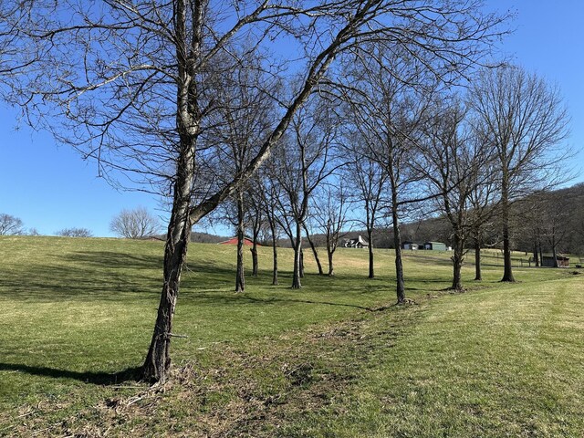 272 Ward Hollow Rd, Watertown, TN 37184 - photo 6