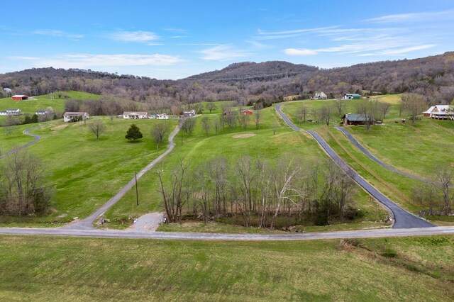 272 Ward Hollow Rd, Watertown, TN 37184 - photo 30