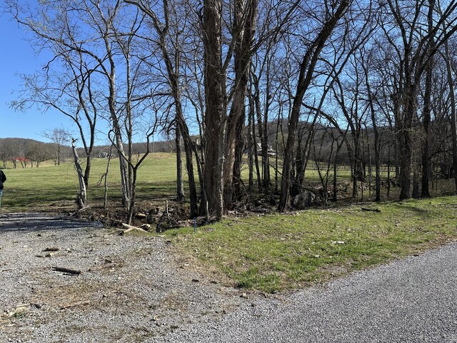 272 Ward Hollow Rd, Watertown, TN 37184 - photo 25