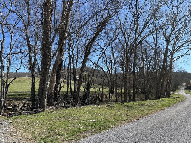 272 Ward Hollow Rd, Watertown, TN 37184 - photo 26