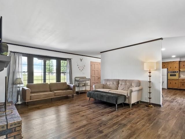 living room featuring dark wood finished floors