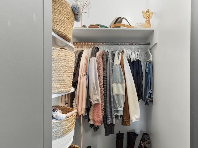 view of closet