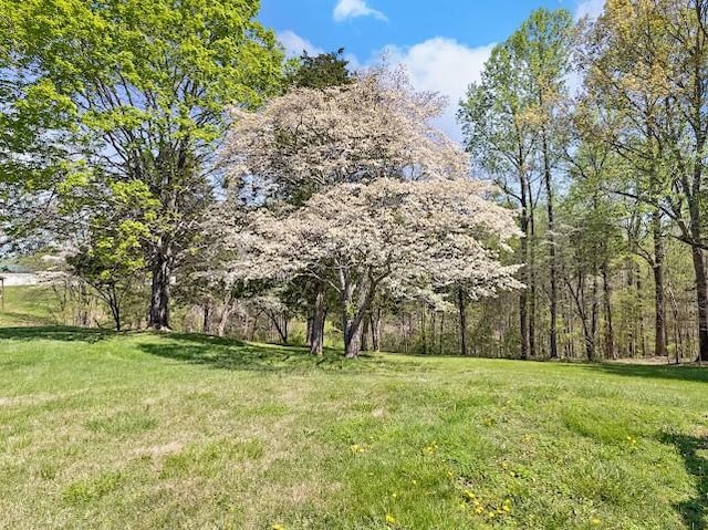 view of yard