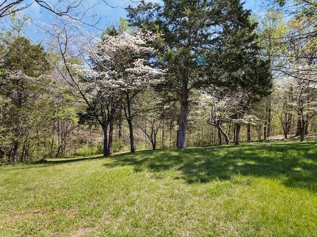 view of yard with a view of trees