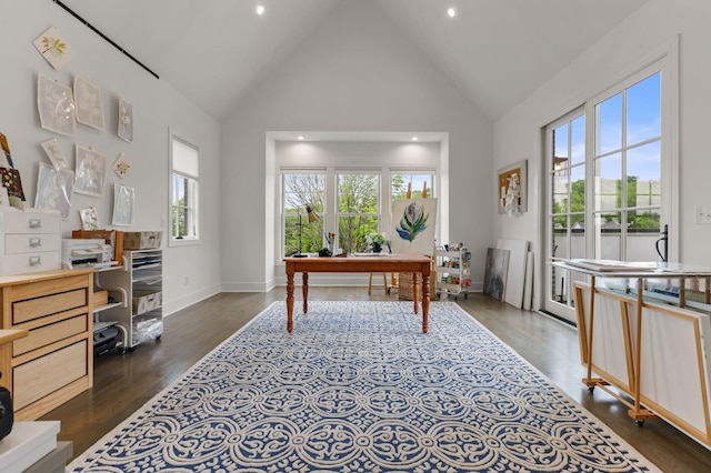 113 Cheekwood Ter, Nashville, TN 37205 - office featuring high vaulted ceiling, dark wood finished floors, and baseboards