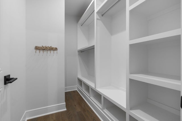 113 Cheekwood Ter, Nashville, TN 37205 - walk in closet with dark wood-style flooring