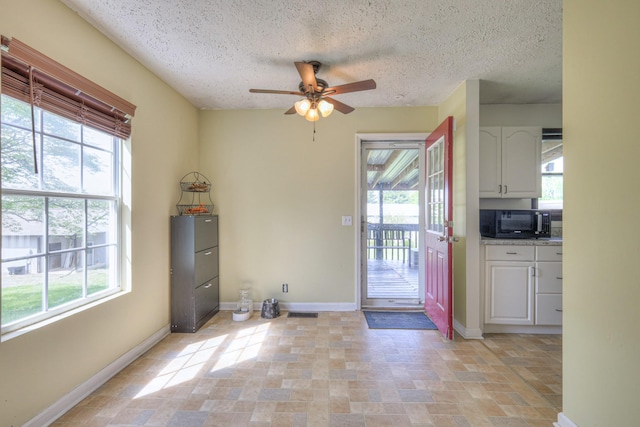 109 Spring Valley Ct, Cross Plains, TN 37049 - doorway with plenty of natural light, a textured ceiling, and ceiling fan