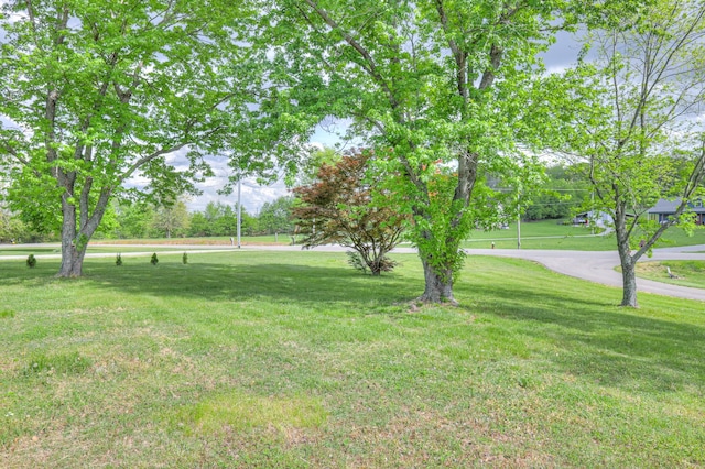 109 Spring Valley Ct, Cross Plains, TN 37049 - view of yard