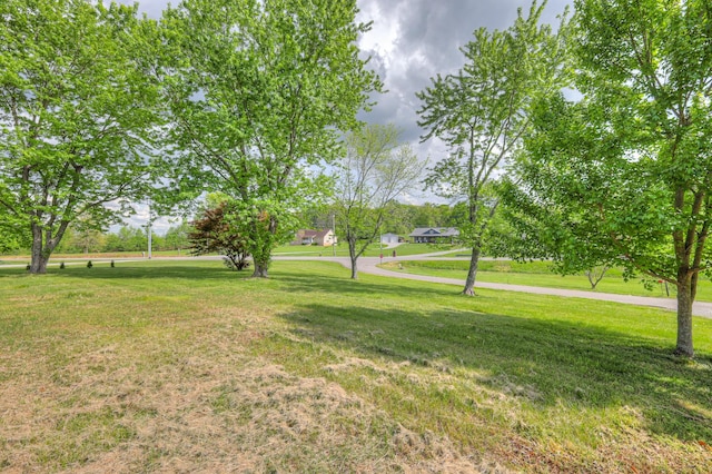109 Spring Valley Ct, Cross Plains, TN 37049 - view of yard