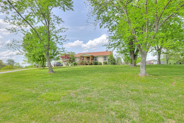109 Spring Valley Ct, Cross Plains, TN 37049 - view of yard