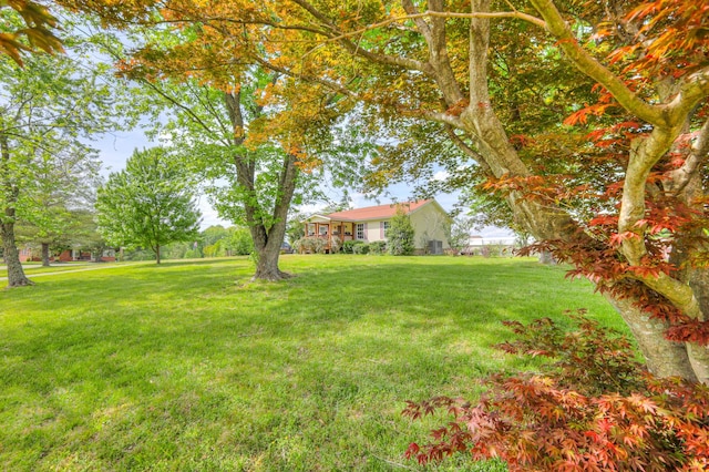 109 Spring Valley Ct, Cross Plains, TN 37049 - view of yard