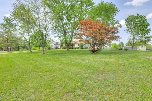 109 Spring Valley Ct, Cross Plains, TN 37049 - view of yard