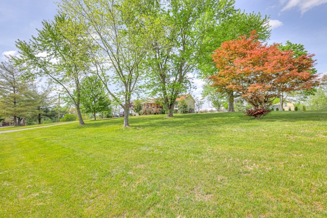 109 Spring Valley Ct, Cross Plains, TN 37049 - view of yard