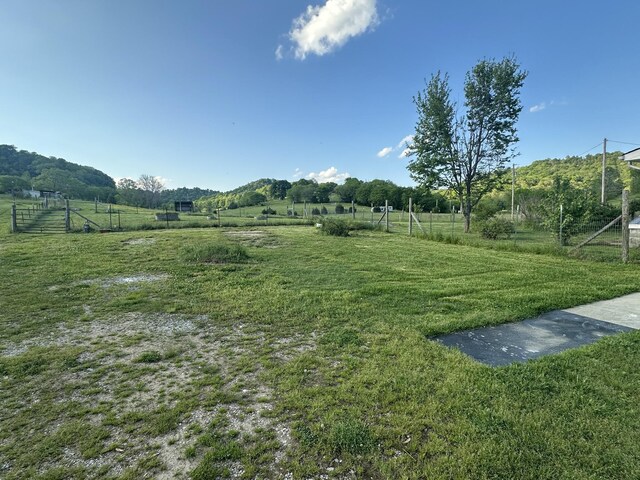 275 Reece Hollow Rd, Carthage, TN 37030 - photo 9