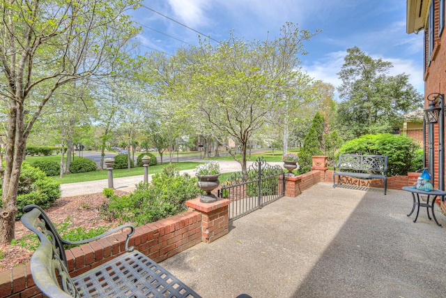 1143 Carnton Ln, Franklin, TN 37064 - view of patio
