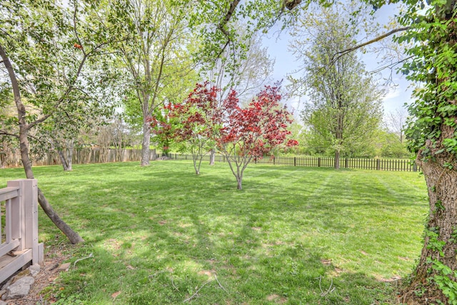 1143 Carnton Ln, Franklin, TN 37064 - view of yard with a fenced backyard