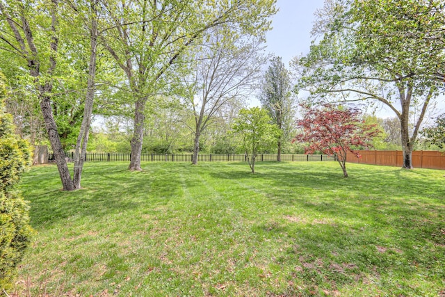 1143 Carnton Ln, Franklin, TN 37064 - view of yard featuring fence