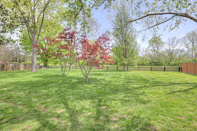 1143 Carnton Ln, Franklin, TN 37064 - view of yard featuring a fenced backyard