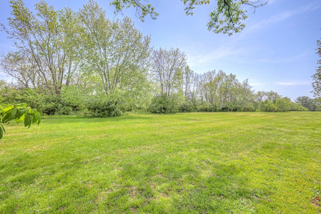 1143 Carnton Ln, Franklin, TN 37064 - view of yard