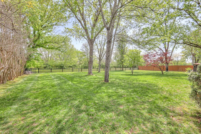 1143 Carnton Ln, Franklin, TN 37064 - view of yard featuring a fenced backyard